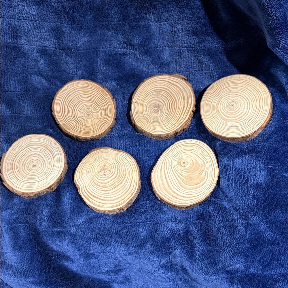 Natural Wood Slice Coasters - Set of 6